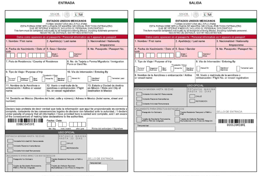 Mexico FMM Form